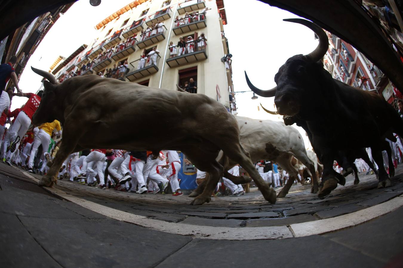 Los toros &#039;gaditanos&#039; de Núñez del Cuvillo protagonizan el encierro más peligroso de San Fermín 2019